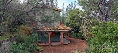 Villaggio delle Mimose villa con grande giardino