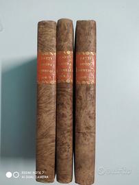 La Divina Commedia di Dante