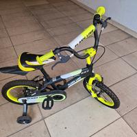 bicicletta Flash Line 14 