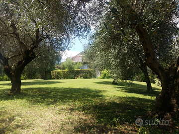 Lago di Garda Soiano VILLA SINGOLA