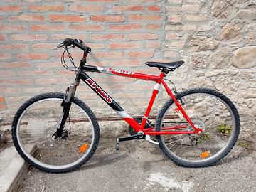 bicicletta 