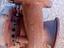 Immagine 6