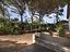 Immagine 17