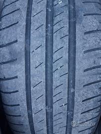 ottime nexen 205.55.16 91.v estive