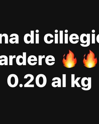 Legna