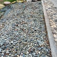 Sassi, ciottoli aiuola vialetto