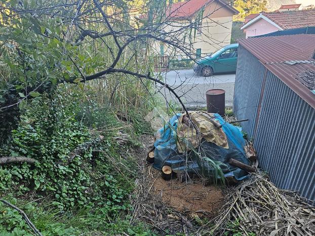 TER. AGRICOLO A SESTRI LEVANTE