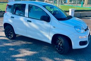Fiat Panda 2021