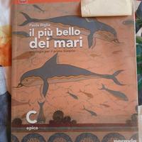 Il più bello dei mari