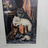 stampa di gatti 