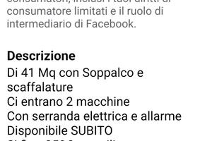 Ampio BOX Soppalcato alla macchia gialla 