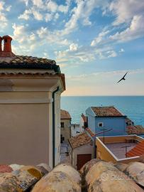 Casa Vacanza Lalù Termoli centro storico