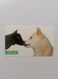 scheda telefonica SIP Benetton vintage 