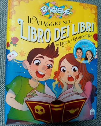 Libro DINSIEME