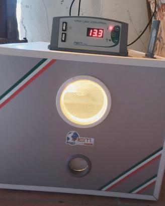incubatrice fiem mg 50js