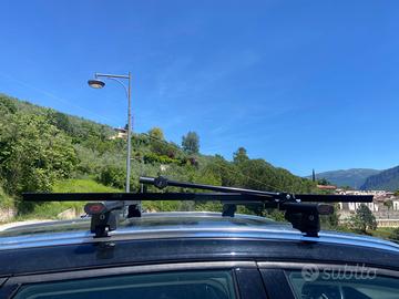 Porta bicicletta da tetto Peruzzo