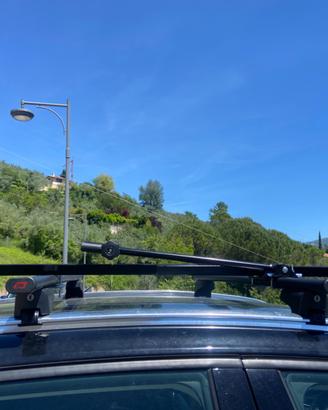 Porta bicicletta da tetto Peruzzo