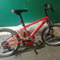 Bicicletta Mountain bike '20