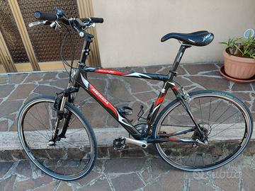 Bici trekking in carbonio