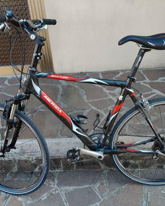 Bici trekking in carbonio