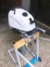 Fuoribordo HONDA BF6