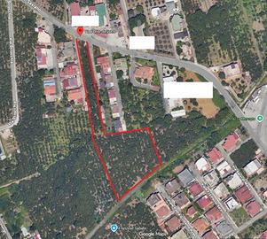 Terreno Agricolo 7.000 mq circa