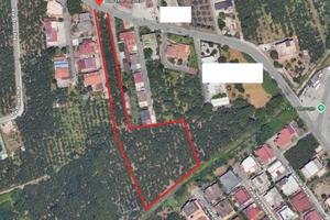 Terreno Agricolo 7.000 mq circa