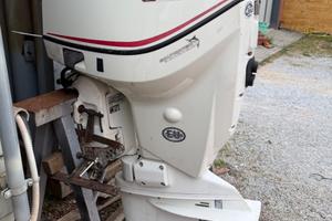 Motore fuoribordo evinrude etec 115