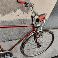 bici uomo stelvio