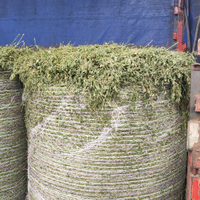 Per pecore, capre, mucche