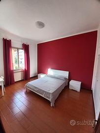 2 camere singole per studenti a Bologna