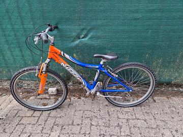 biciclette 
