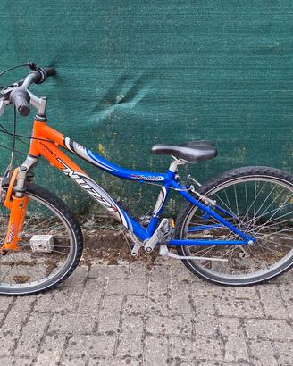 biciclette 