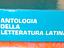 Immagine 6