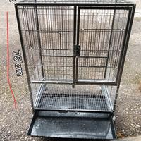 voliera pappagalli-canarini