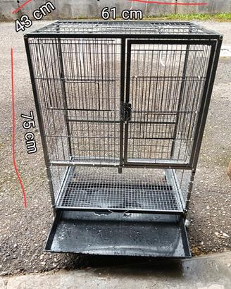 voliera pappagalli-canarini