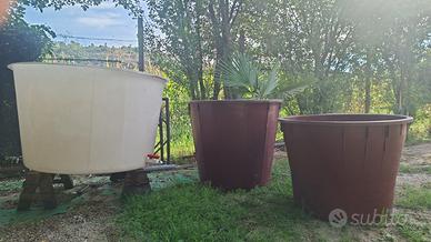 Mastelli mastelloni serbatoi ciaterne