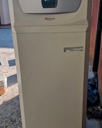 Caldaia a gas immergas con boiler