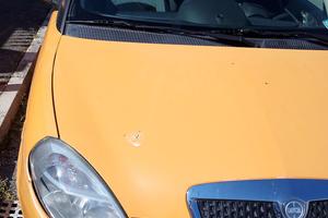 Lancia Ypsilon 1.2 Benzina MOMO