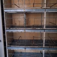 batteria x canarini cardellini lucherini ecc..