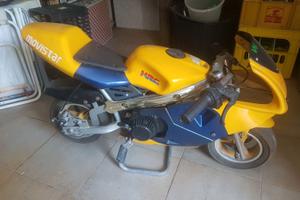 minimoto gialla