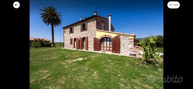 Immerso nella campagna a Suvereto