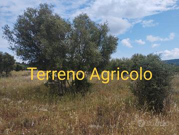 Terreno Agricolo