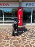 kawasaki-z-650-rs-50th-anniversary-2022-