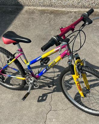 Bicicletta bambina