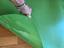 Immagine 3