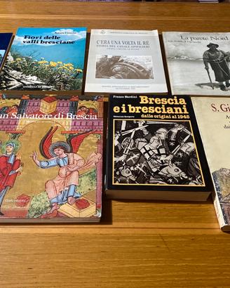 Ampia collezione libri sulle città lombarde