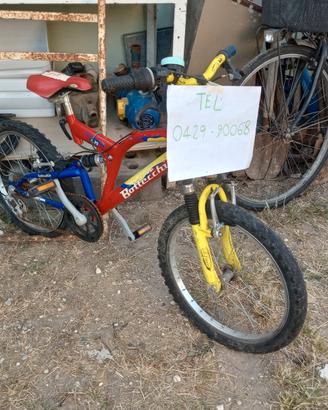 Bicicletta per Bambini Bottecchia 20"
