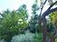 Immagine 9
