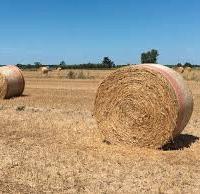 Rotoballe paglia e fieno